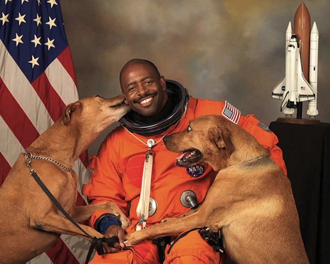 Astronaut and dogs