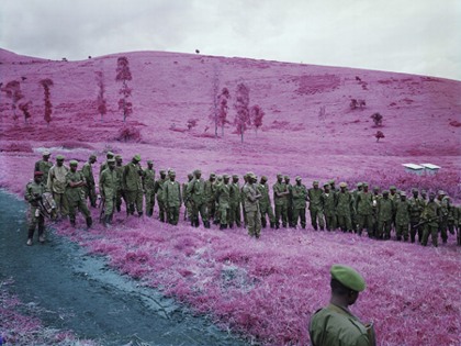 Purple field, via Horses Think