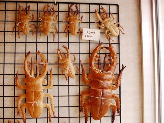 Bread bugs