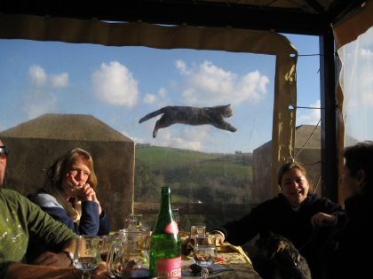 flying cat