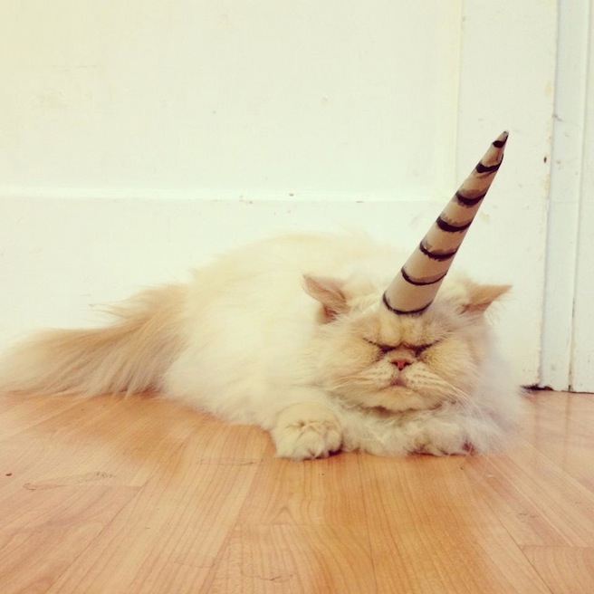 Elaine Ho's caticorn