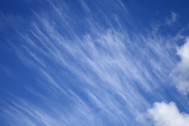 wispy clouds in the sky