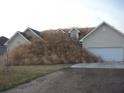 Feral house, unknown source