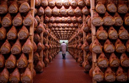 Down in ham storage