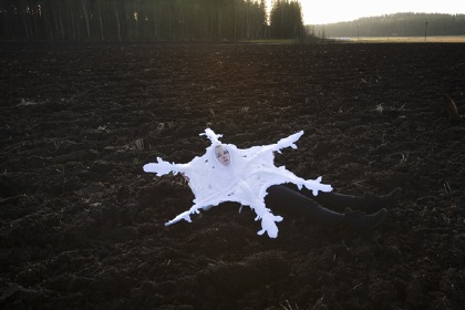 snowflake in a field - (c) Riitta Ikonen