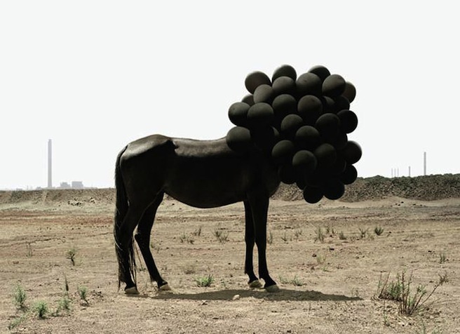 Image by Andrea Galvani