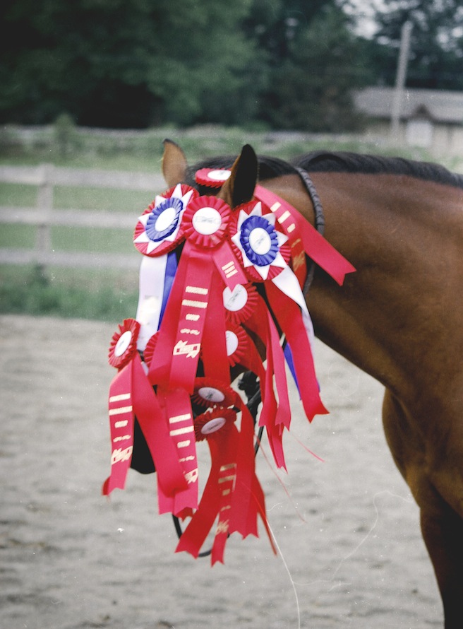 Horse medals