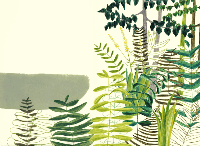 Plants by Aurelia Deschamps