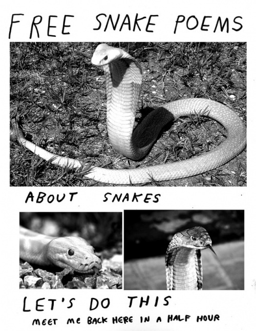 Snake Poems