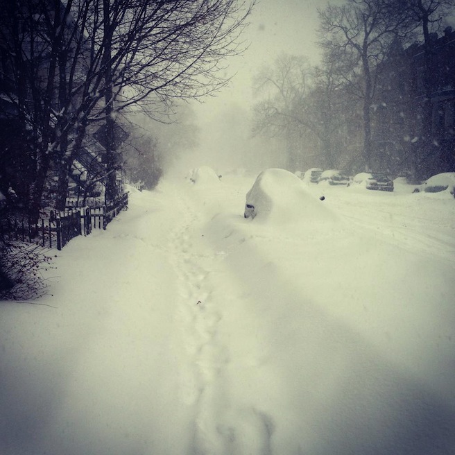 Snowstorm, Dec 27 2012, by David Usher